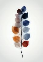 Translucent leaves in blue, orange and burgundy tones arranged on single branch create ethereal x-ray effect on white background, suitable for wall art and decor.