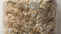 Organic coconut fiber coir texture showing natural brown fibrous material with rough surface detail for sustainable packaging and craft projects.