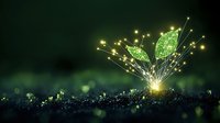 Glowing green butterfly emerging from magical sparkles against dark background with bokeh lights, creating enchanting nature fantasy scene.