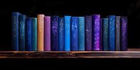 Row of decorative hardcover books in blue and purple tones with silver floral patterns standing on wooden shelf against dark background, creating magical library atmosphere.