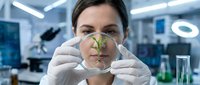 Female scientist examining green plant seedling in petri dish at modern laboratory for botanical research and biotechnology experiments.