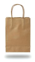 Kraft paper shopping bag with twisted handles, isolated on white background. Eco-friendly carrier for retail, grocery, and packaging design projects.