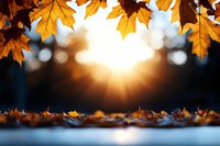 Golden autumn maple leaves frame sunset view with bokeh lights and fallen foliage on ground, creating magical seasonal atmosphere at dusk.