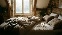 Unmade bed with rumpled beige linens in rustic attic bedroom with wooden beams, natural light from window, and potted plants for home decor and interior design projects.