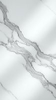White marble texture with elegant gray veining patterns for luxury interior design and architectural applications.