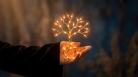 Hand holding glowing wire tree with warm LED lights against blurred background symbolizing growth, hope, and environmental care in magical evening setting.