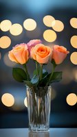 Peach roses in crystal vase against blurred bokeh lights background creating romantic atmosphere. Soft evening glow highlights delicate flower petals.