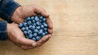 Farmer holding fresh blueberries in cupped hands over wooden surface, showcasing organic harvest and farm-to-table produce for agricultural and food industry use.