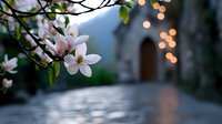 Delicate magnolia blossoms frame a dreamy bokeh background with soft glowing lights and stone architecture, creating romantic spring atmosphere.