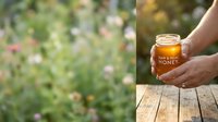Raw honey jar held by hands over wooden table with wildflower meadow background, showcasing natural organic product for food, wellness, and agricultural marketing purposes.