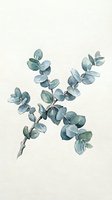 Watercolor eucalyptus branch with blue-green foliage on cream background, isolated botanical illustration suitable for home decor, wellness, and design projects.