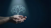 Hands holding glowing tree with branching light particles against dark background, representing growth, innovation, sustainability, and digital transformation for business concepts.