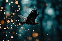 Majestic eagle soaring through magical night sky with glowing bokeh lights and sparkling particles against dark teal background, creating mystical atmosphere.