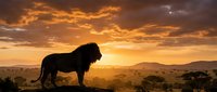 Majestic lion silhouette standing on rocky outcrop during golden sunset in African savanna landscape with acacia trees and rolling hills in background.