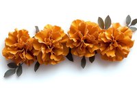 Orange marigold flowers with green leaves arranged in row on white background, isolated floral elements for autumn decoration and craft projects.