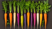 Fresh rainbow carrots with green tops arranged in row on dark background, organic heirloom vegetables showing natural color variety. For food and healthy lifestyle concepts.