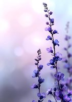 Delicate purple wildflowers against soft pastel background with dreamy bokeh effect, creating serene natural atmosphere for wellness and spa marketing.
