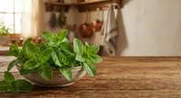 Fresh mint leaves in glass bowl on wooden kitchen counter with blurred rustic background for cooking and culinary herb preparation.