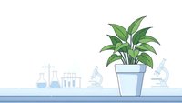 Green houseplant in white pot on laboratory bench with scientific glassware and equipment for botanical research and plant biology studies.