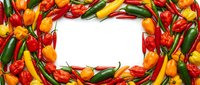 Colorful hot chili peppers in red, yellow, and green arranged in a frame around white space, suitable for food backgrounds and culinary designs.