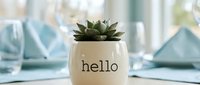 Small succulent plant in a white ceramic pot with hello text on a table with blue napkins and glasses in soft natural light.