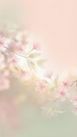 Soft pink cherry blossom branch with delicate petals on dreamy pastel gradient background for spring wedding invitations and romantic designs.