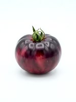 Dark purple tomato with green stem isolated on white background, suitable for food, cooking, and culinary design projects.