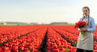 Young woman with blonde braided hair, Caucasian ethnicity, wearing denim shirt and apron, holding red tulip bouquet in expansive flower field during daytime. Suitable for agriculture, floristry, and gardening content.