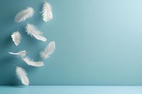 White feathers floating gracefully against soft blue gradient background creating peaceful minimalist composition for wellness and spiritual concepts.