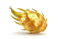 Golden dragon fruit with spiky exterior and dotted pattern isolated on white background for tropical food design and healthy eating concepts.