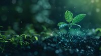 Young green plant seedling growing from soil with magical glowing network connections, representing growth, technology and nature connection on dark background.