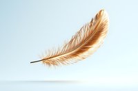 Floating brown feather on light background, soft and delicate plume with detailed barbs casting gentle shadow, isolated for creative design projects.