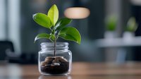 Young green plant growing from coins in glass jar, symbolizing financial growth and sustainable investment. Money tree concept for business and savings.