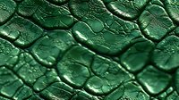 Macro view of emerald green reptile skin texture with detailed scales, cracks and natural patterns. Abstract organic background for luxury fashion design.