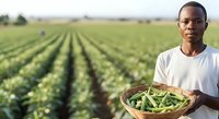 Young male farmer of African descent holding basket of fresh green beans in cultivated field during harvest season.