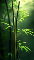 Fresh bamboo stalks with vibrant green leaves against blurred forest background, creating zen atmosphere with soft natural lighting and shallow depth of field.