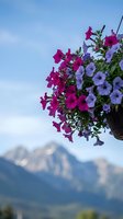 Vibrant purple and pink petunias in hanging basket against blue sky and mountain backdrop for summer garden decoration and outdoor living spaces.