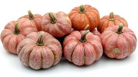 Pink pumpkins arranged in group on white background, showing natural texture and stems. Fresh organic autumn gourds isolated for seasonal design and harvest decor.
