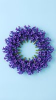 Purple hyacinth flower wreath arranged in circle on light blue background for spring decoration and floral design projects.
