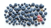 Fresh blueberries scattered on white background with few pink berries mixed in. Healthy organic superfood antioxidant rich fruit isolated for cooking baking.