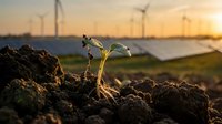 Young green plant seedling growing from rich soil with wind turbines and solar panels in background during golden hour sunrise symbolizing renewable energy growth.