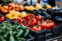 Fresh organic vegetables displayed in black crates at farmers market including red tomatoes, eggplants, peppers and leafy greens for healthy eating and cooking.