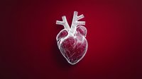 White anatomical heart illustration on deep red background for medical education and healthcare design projects.