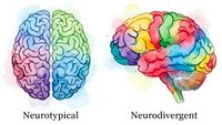Neurotypical and neurodivergent brain comparison showing colorful anatomical illustrations with different neural pathway patterns for medical education.