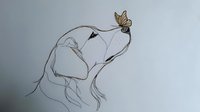 Minimalist line drawing of gentle dog profile with delicate butterfly perched on nose, artistic black ink sketch on white background, suitable for wall art and prints.