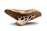 Fresh brown mushroom cap with exposed gills and stem cross-section showing honeycomb interior structure on white background, isolated for food photography.