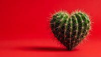 Heart-shaped cactus with sharp spines on vibrant red background symbolizing complicated love and relationships for Valentine's Day greeting cards.