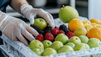 Food safety worker in protective gloves arranging fresh fruits including green apples, strawberries, blackberries and oranges in plastic container for retail display.