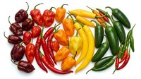 Colorful assortment of fresh hot chili peppers arranged by heat level from mild to extremely spicy, perfect for cooking and culinary applications.