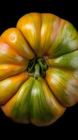 Close-up macro shot of fresh heirloom tomato with distinctive green and yellow striped pattern on black background, showing natural organic texture and ripeness.